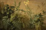 Adolf Senff, A Study of Plants