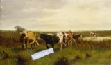 William Frederick Hulk, Cattle Grazing