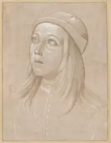 Pinturicchio, Head of a Youth Looking Up