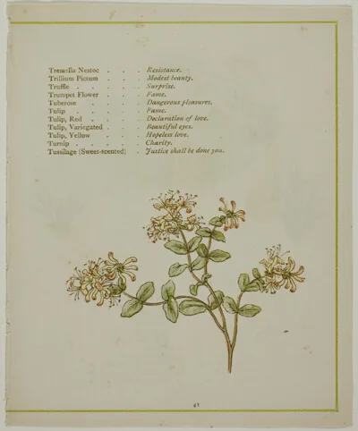 Kate Greenaway, Valerian Through Volkamenia, from The Illuminated Language of Flowers