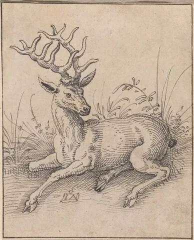 Jost Amman, The Stag