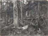 Bruno Liljefors, Brown bear with prey