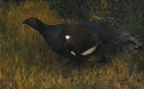 Bruno Liljefors, Black Grouse cock
