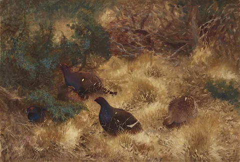 Bruno Liljefors, Black Grouse in Autumn