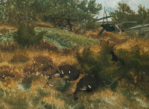 Bruno Liljefors, Black Grouse in autumn landscape
