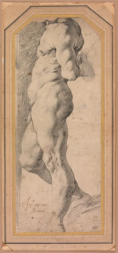 Giuseppe Cesari, Study of a Standing Male Nude