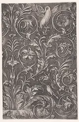 Agostino Veneziano, Ornamental Panel