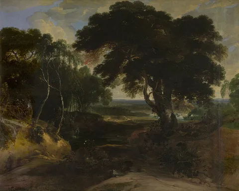 Lucas Achtschellinck, Wooded Landscape