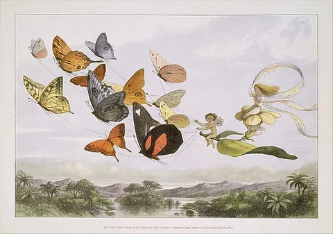 Richard Doyle, The Fairy Queen Takes an Airy Drive in a Light Carriage, a Twelve-in-hand, drawn by Thoroughbred Butterflies