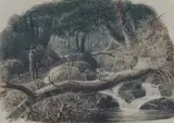 Robert Walter Weir, The Entrance to a Wood