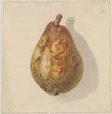 Gerardina Jacoba van de Sande Bakhuyzen, Peer