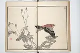 Kōno Bairei, Bairei Picture Album of One Hundred Birds (Bairei hyakuchō gafu) 楳嶺百鳥畫譜