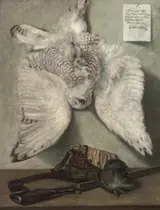Karel Purkyně, Snowy Owl