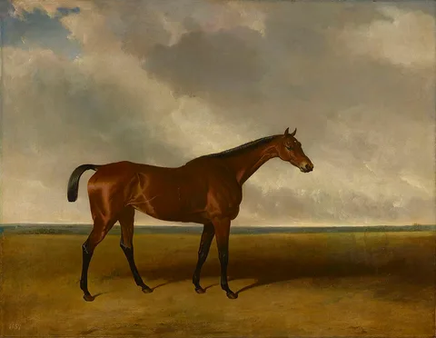 Abraham Cooper, Fleur-de-lis