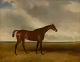 Abraham Cooper, Fleur-de-lis