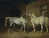 Abraham Cooper, Draught Horses
