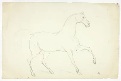 Abraham Cooper, Stallion