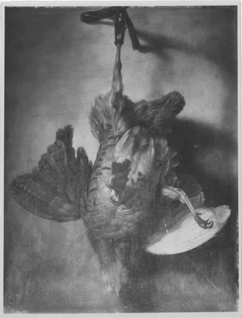 Alexander Coosemans, Untitled