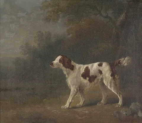 Sawrey Gilpin, A Setter at the Edge of a Wood