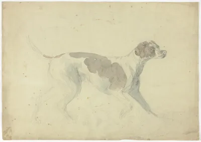 Sawrey Gilpin, Fox Hound (recto); Sketches of Horse and Rider (verso)