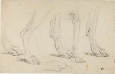 Sawrey Gilpin, Dog Paws