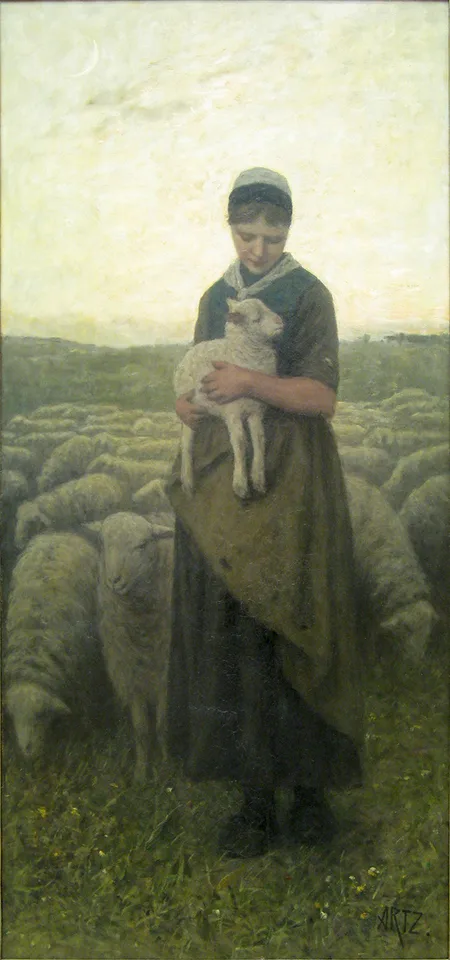 David Adolph Constanz Artz, Return of the herd
