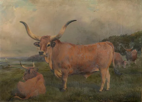 Charles Burton Barber, A group of Spanish Oxen