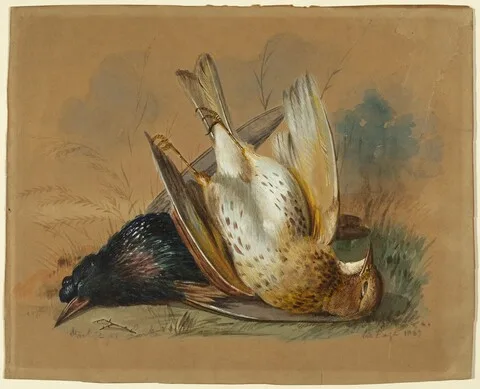 William Page, A Starling and a Lark