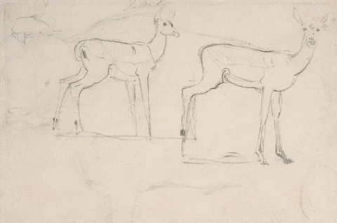 Samuel Daniell, Study for Two Standing Pallah Deer