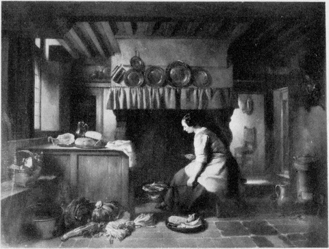 Hubertus van Hove, A Flemish Kitchen