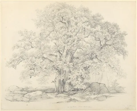 Eugène Blery, Tree and Rocks in the Forest of Fontainebleau