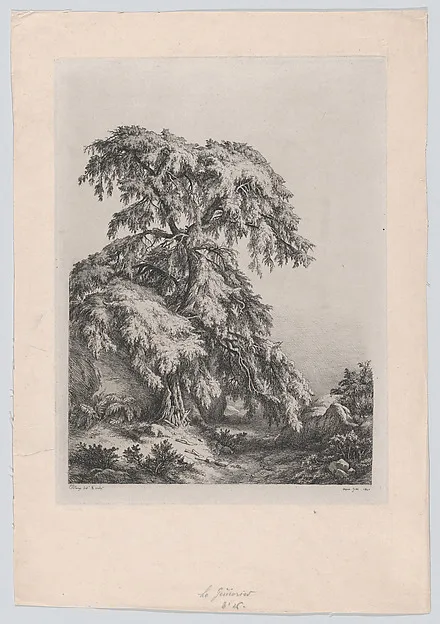 Eugène Blery, The Juniper Tree, Fontainbleu