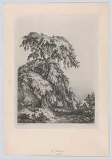 Eugène Blery, The Juniper Tree, Fontainbleu