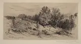 James David Smillie, A Fallow Field