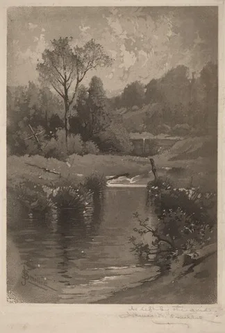 James David Smillie, An Old Dam Near Montrose