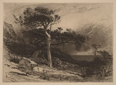 James David Smillie, Old Cedars, Coast of Maine