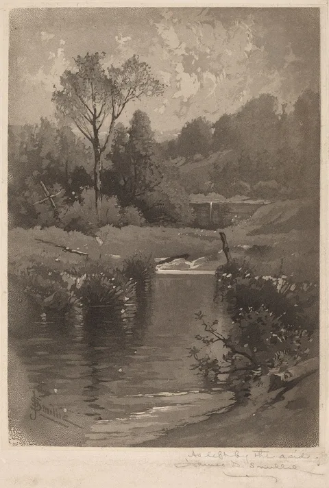 James David Smillie, An Old Dam Near Montrose
