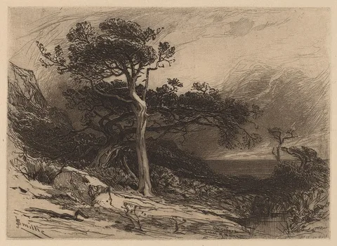 James David Smillie, Old Cedars, Coast of Maine