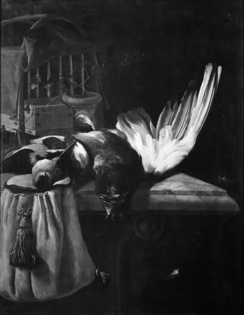 William Gouw Ferguson, Dead Birds on a Marble Table