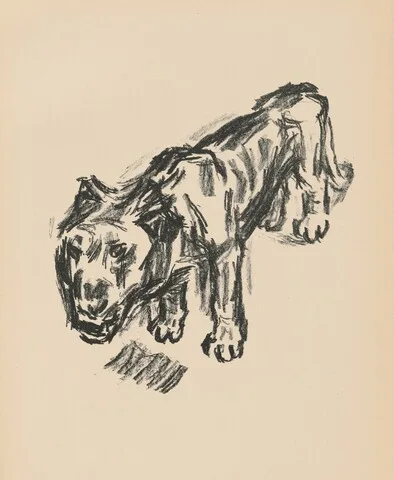 Renè Beeh, Löwe (Lion) from Deutsche Graphiker der Gegenwart (German Printmakers of Our Time)
