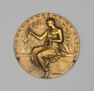 Victor David Brenner, National Academy of Design Medal