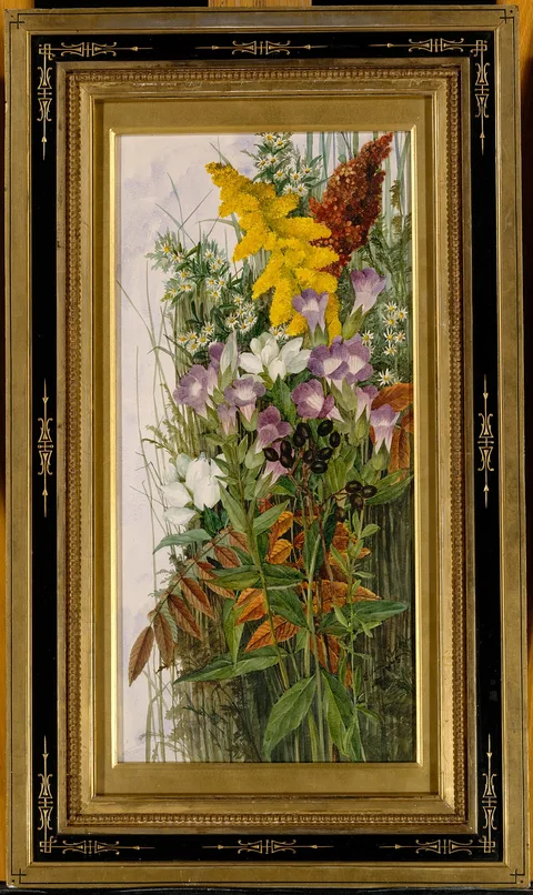 Ellen Robbins, Wildflowers