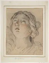 Giovanni Gioseffo dal Sole, Female Head Upturned
