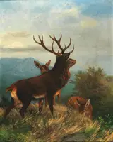 Carl Friedrich Deiker, Deer with his pack