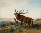 Carl Friedrich Deiker, Herd of deer on a hill