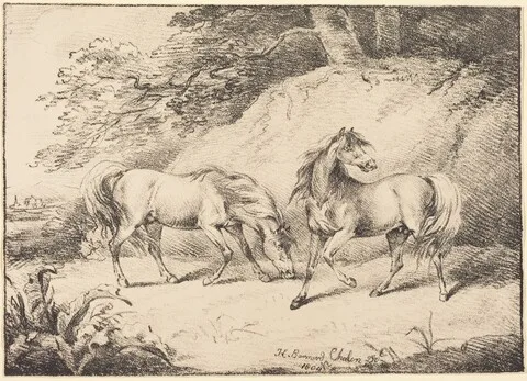 Henry Bernard Chalon, Wild Horses