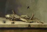 Ambrosius Bosschaert II, Dead Frog with Flies
