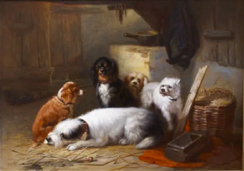 Zacharie Noterman, Dogs in a barn