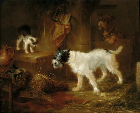 Zacharie Noterman, Scene with dogs and a cat