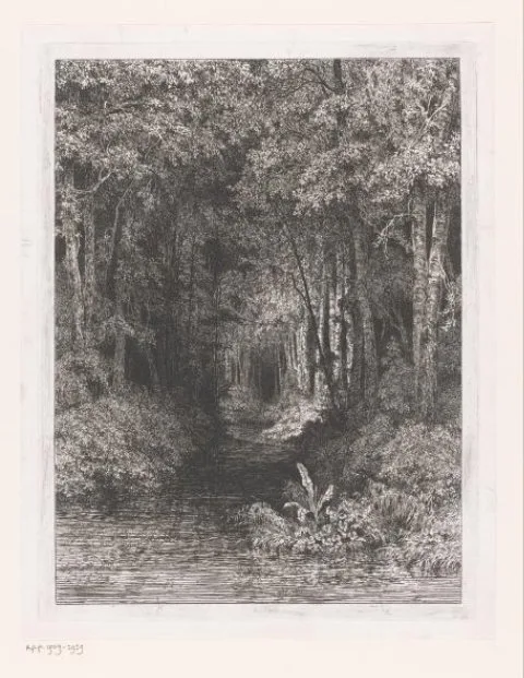 César de Cock, Beek door het bos